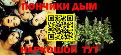 индика Гай
