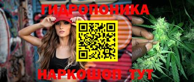 индика Гай