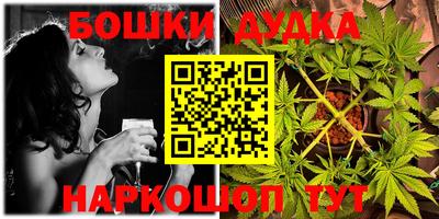 индика Гай