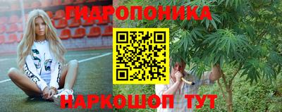 твердый Краснознаменск