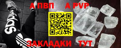 индика Гай